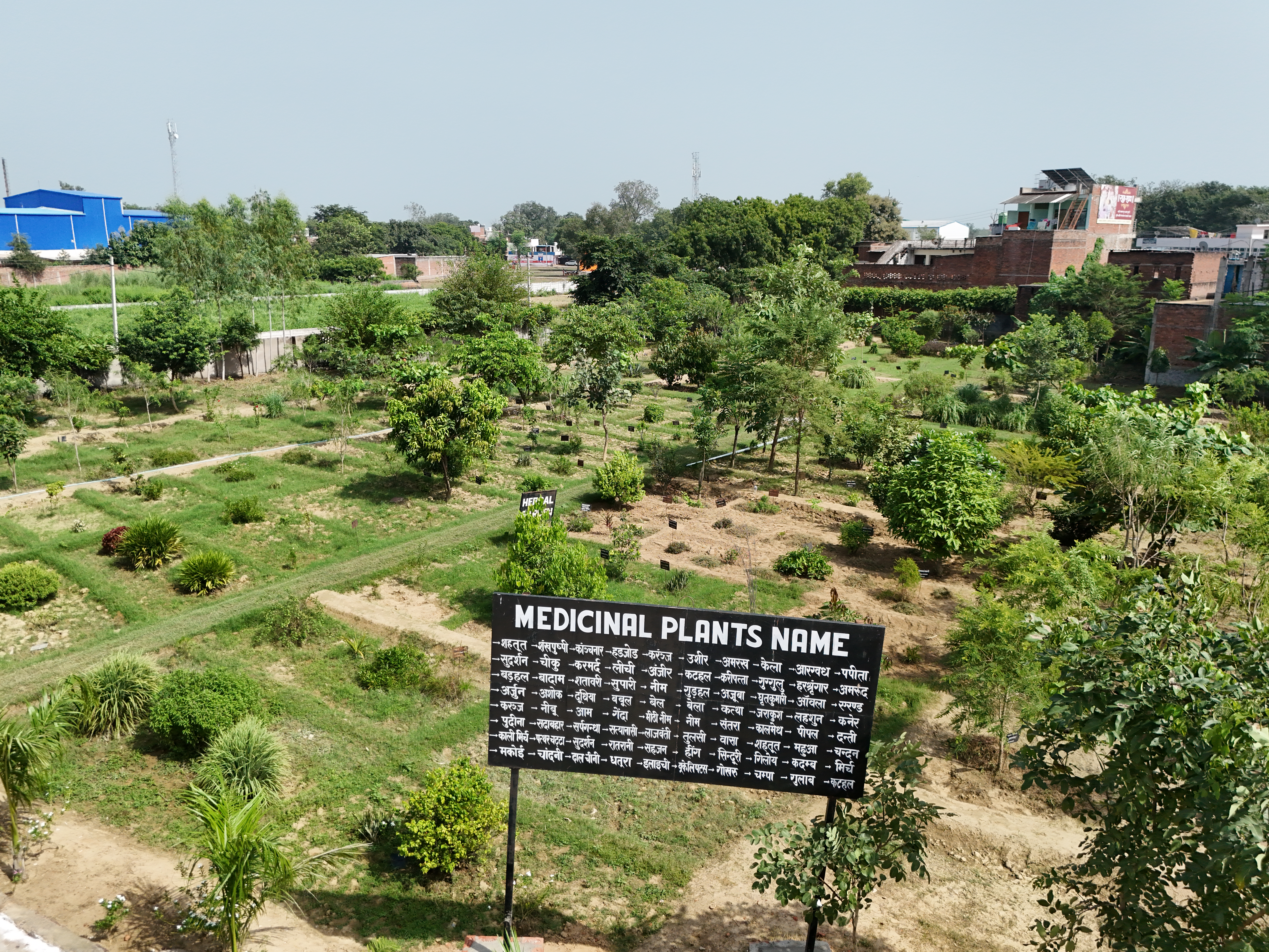 Garden
